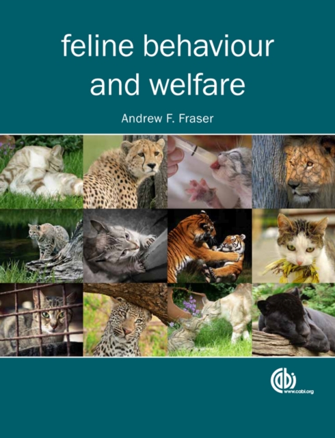 Feline Behaviour and Welfare, Paperback / softback Book