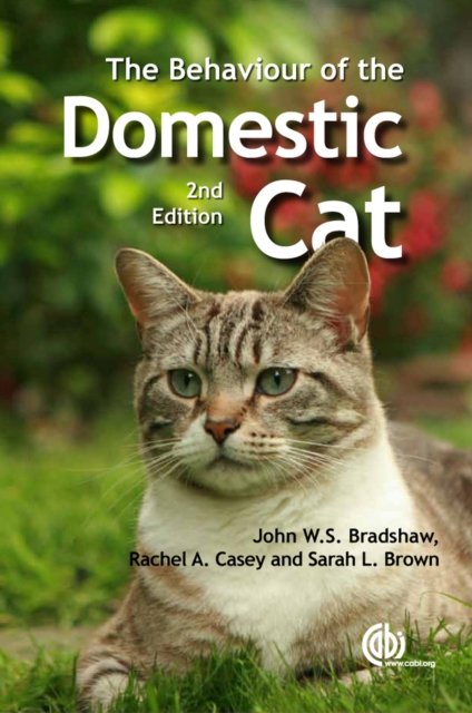 Behaviour of the Domestic Cat, Paperback / softback Book