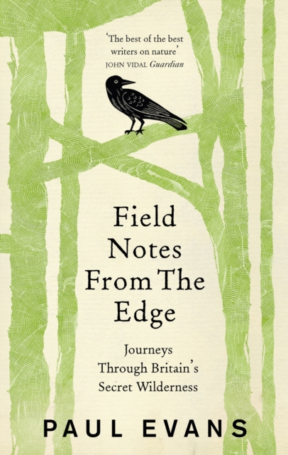 Field Notes from the Edge, Paperback / softback Book