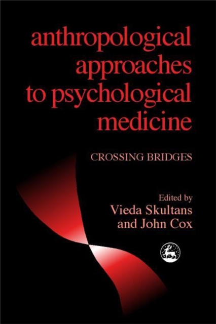 Anthropological Approaches to Psychological Medicine : Crossing Bridges, PDF eBook