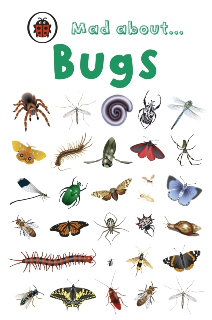 Mad About Bugs, Hardback Book