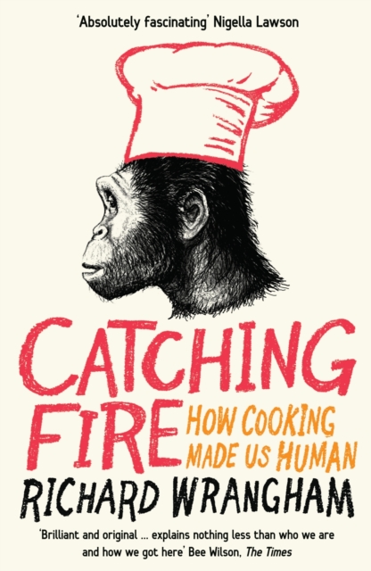 Catching Fire : How Cooking Made Us Human, Paperback / softback Book