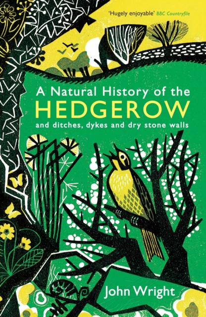 A Natural History of the Hedgerow : and ditches, dykes and dry stone walls, Paperback / softback Book