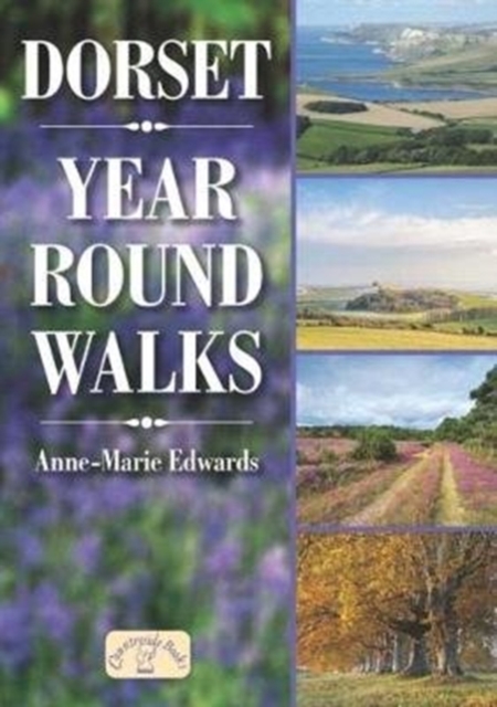 Dorset Year Round Walks, Paperback / softback Book