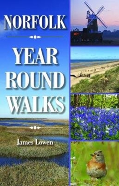 Norfolk Year Round Walks, Paperback / softback Book