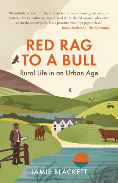 Red Rag To A Bull : Rural Life in an Urban Age, Paperback / softback Book