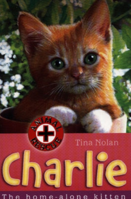 Charlie : The Home-alone Kitten, Paperback / softback Book