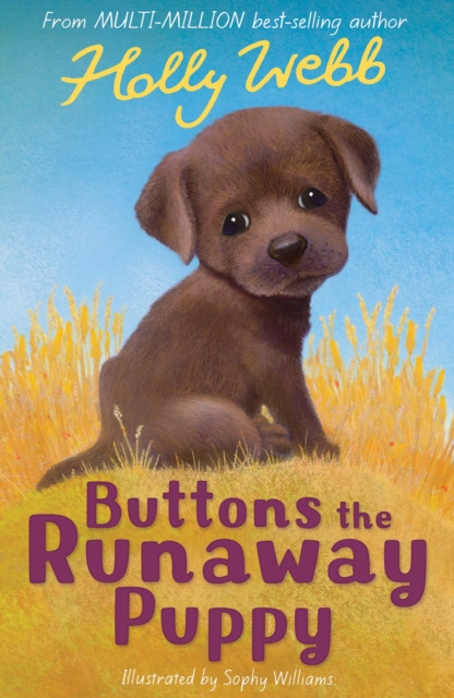 Buttons the Runaway Puppy, Paperback / softback Book