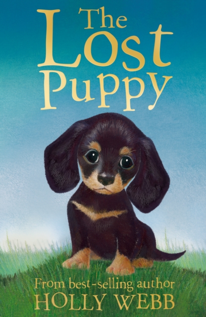 The Lost Puppy, Paperback / softback Book