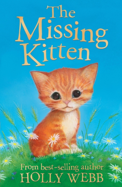 The Missing Kitten, EPUB eBook