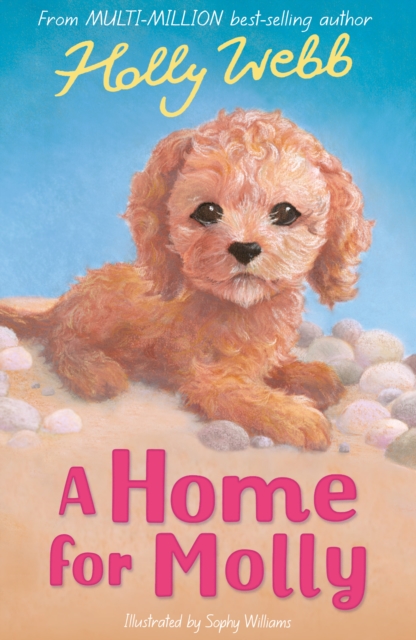 A Home for Molly, Paperback / softback Book