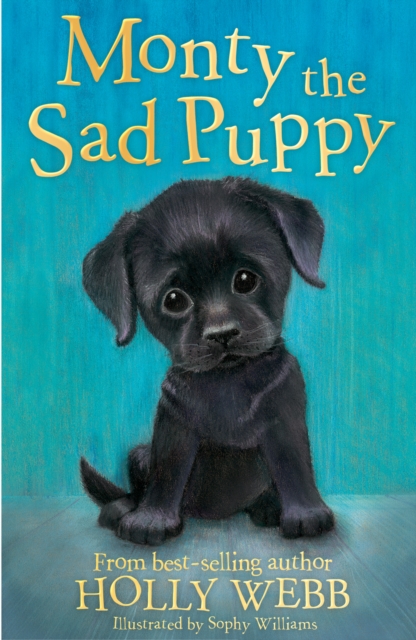 Monty the Sad Puppy, Paperback / softback Book