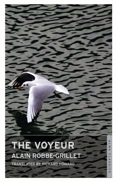 The Voyeur, Paperback Book