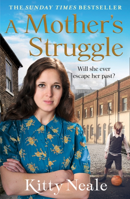 A Mother’s Struggle, Paperback / softback Book