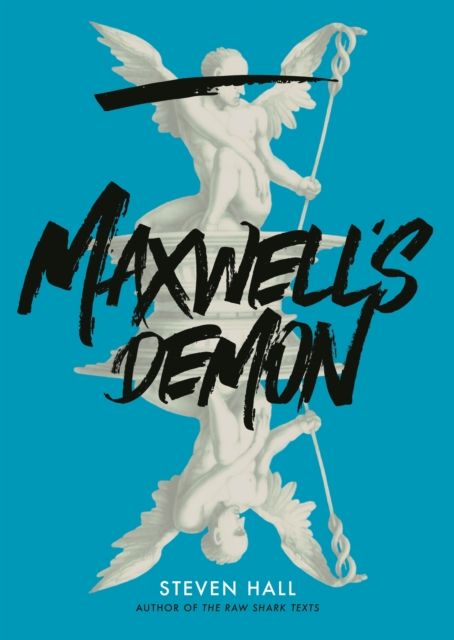 Maxwell's Demon, Hardback Book