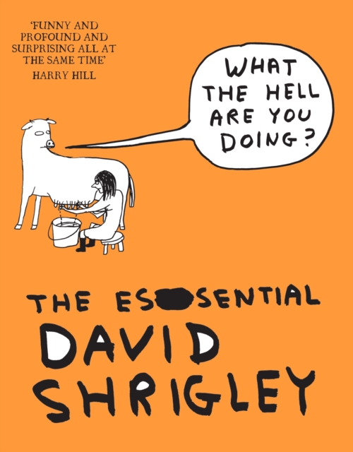 What The Hell Are You Doing?: The Essential David Shrigley : The Essential David Shrigley, EPUB eBook