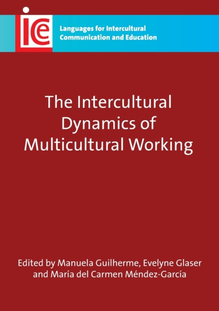 The Intercultural Dynamics of Multicultural Working, Paperback / softback Book