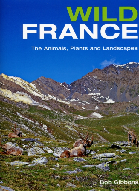 Wild France, Hardback Book