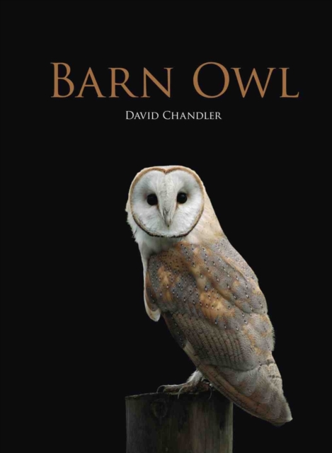 Barn Owl, Hardback Book