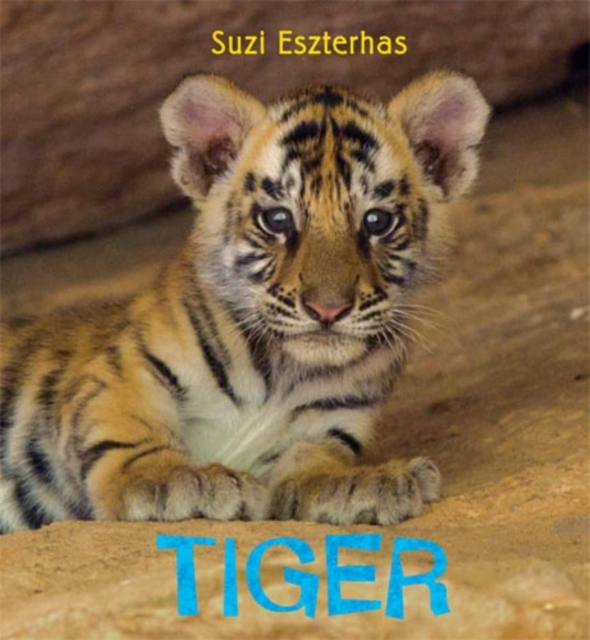 Tiger, Hardback Book