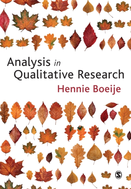 Analysis in Qualitative Research, Paperback / softback Book