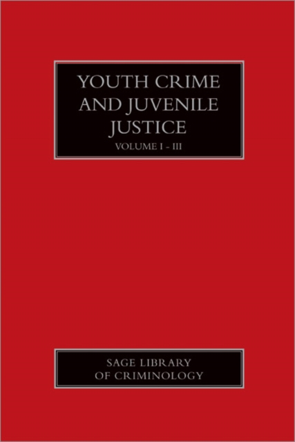 Youth Crime and Juvenile Justice, Multiple-component retail product Book