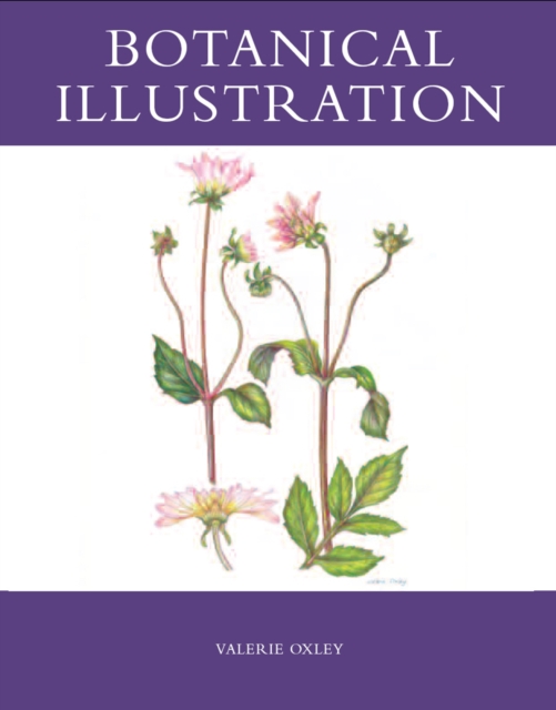 Botanical Illustration, Paperback / softback Book