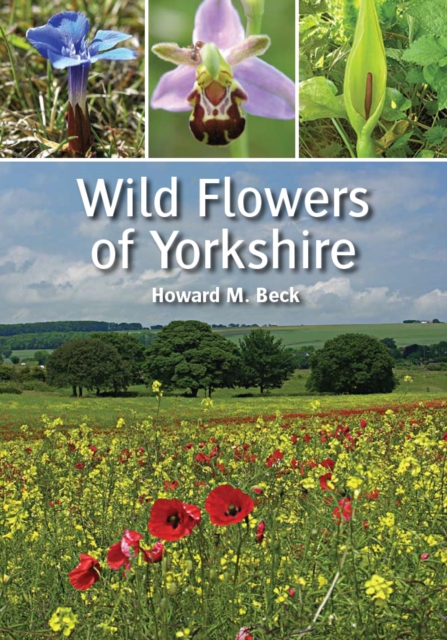 Wild Flowers of Yorkshire, Paperback / softback Book