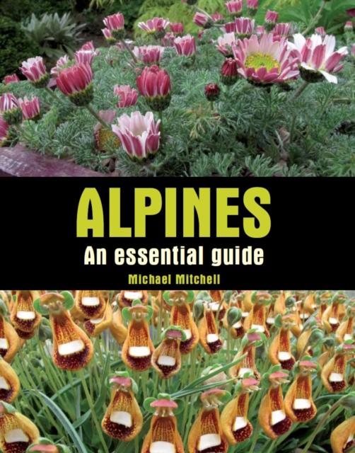 Alpines : An Essential Guide, Hardback Book