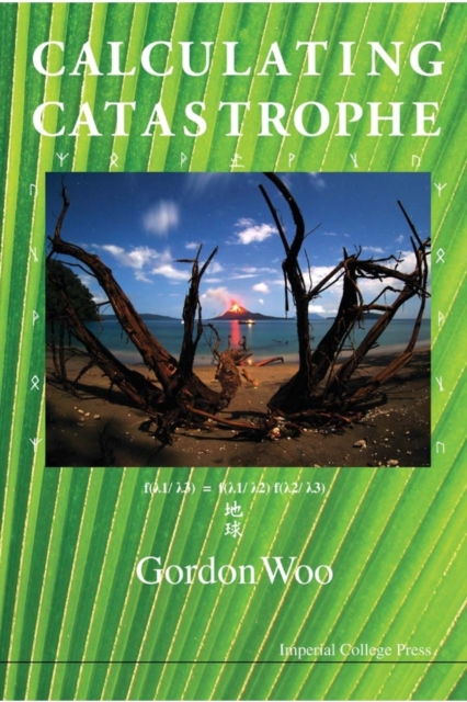 Calculating Catastrophe, Paperback / softback Book