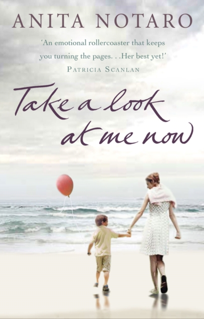 Take A Look At Me Now, Paperback / softback Book