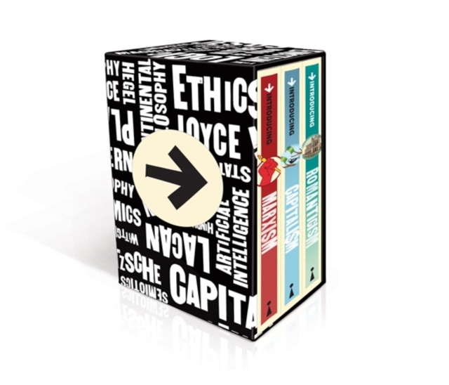 Introducing Graphic Guide Box Set - How To Change The World, Paperback / softback Book