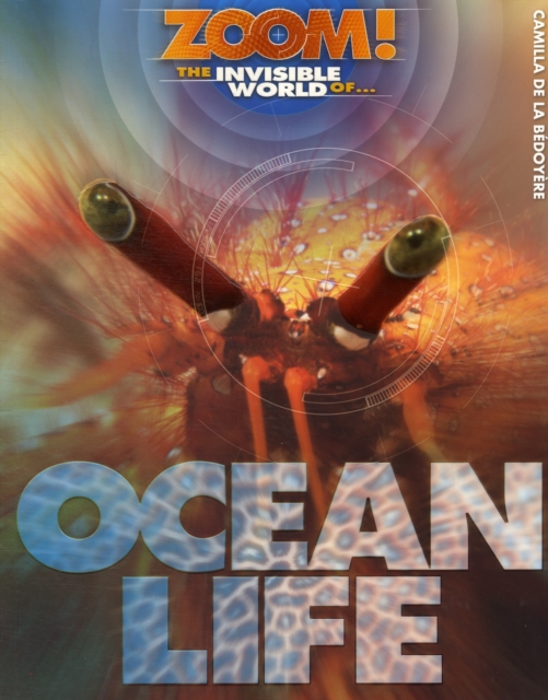 The Invisible World of Ocean Life, Paperback Book
