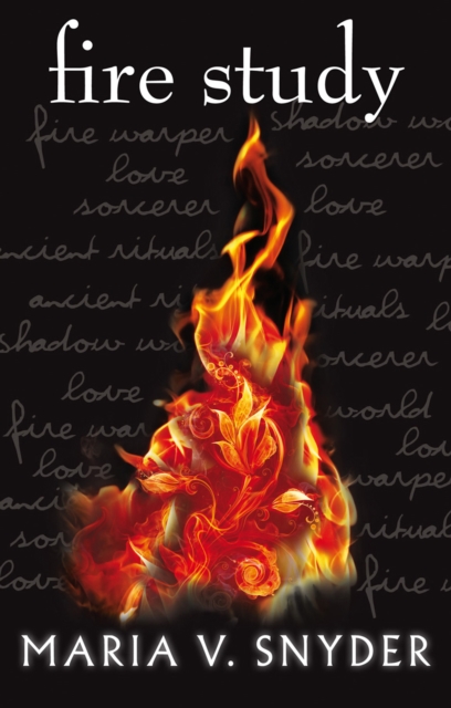 Fire Study, Paperback / softback Book