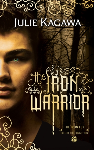 The Iron Warrior, Paperback / softback Book
