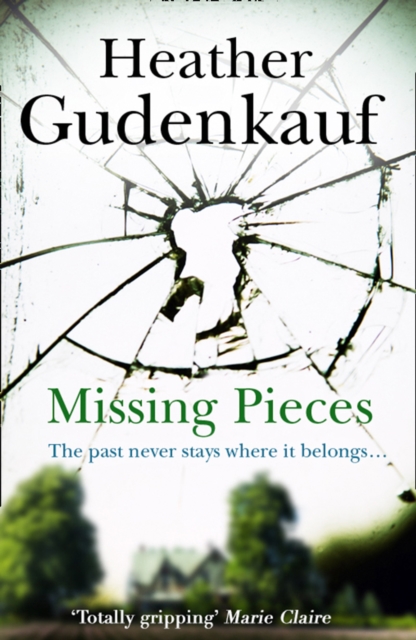 Missing Pieces, Hardback Book