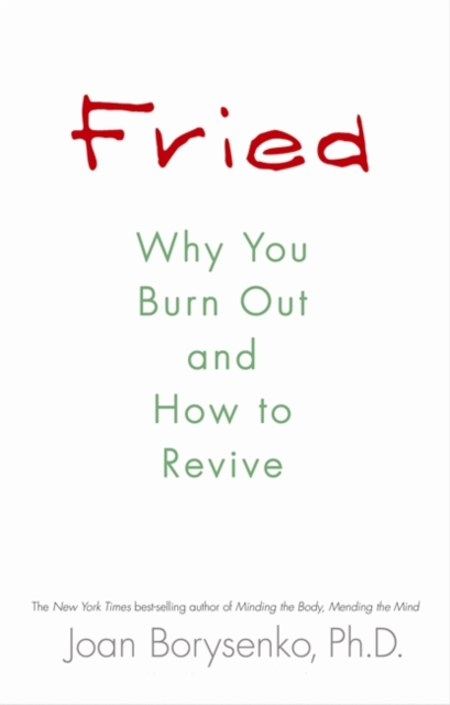 Fried : Why You Burn Out and How to Revive, Paperback / softback Book