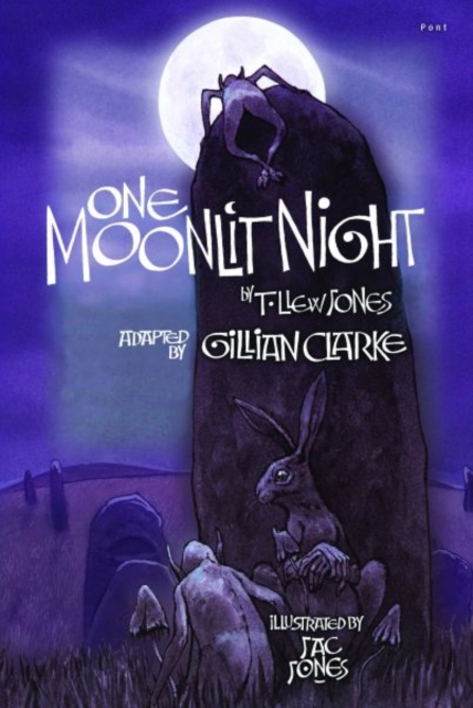 One Moonlit Night (T. Llew Jones), Hardback Book