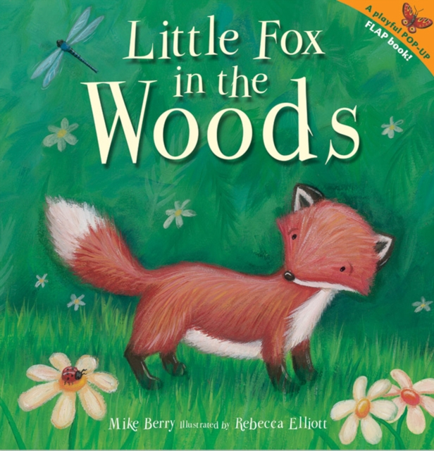 Little Fox in the Woods, Hardback Book