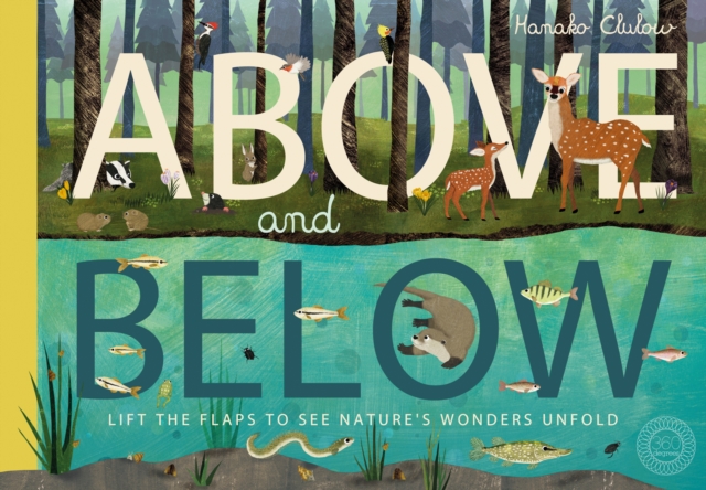 Above and Below, Paperback / softback Book