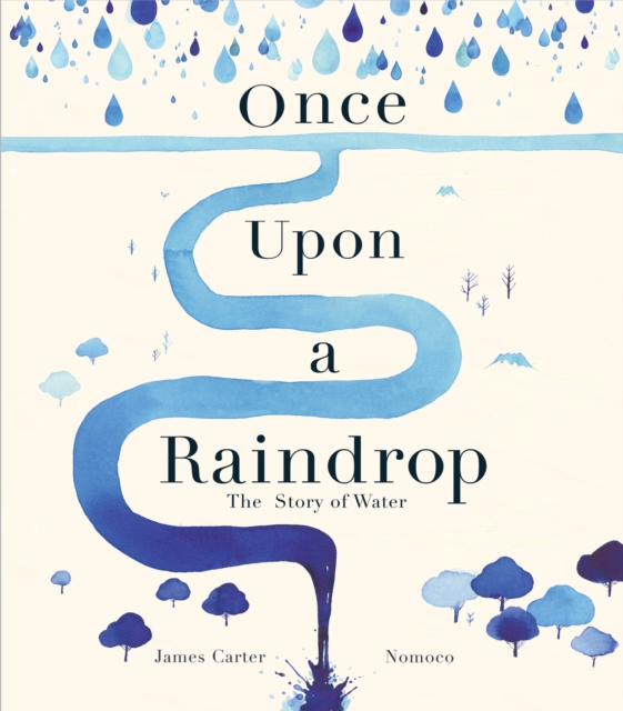 Once Upon a Raindrop : The Story of Water, Paperback / softback Book