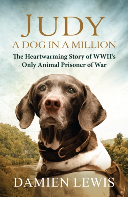 Judy: A Dog in a Million : From Runaway Puppy to the World's Most Heroic Dog, EPUB eBook