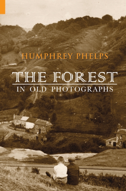 The Forest in Old Photographs, Paperback / softback Book