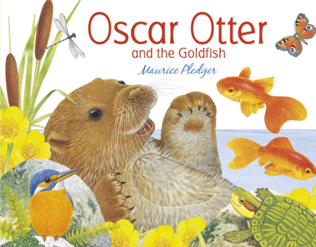 Oscar Otter and the Goldfish, Board book Book