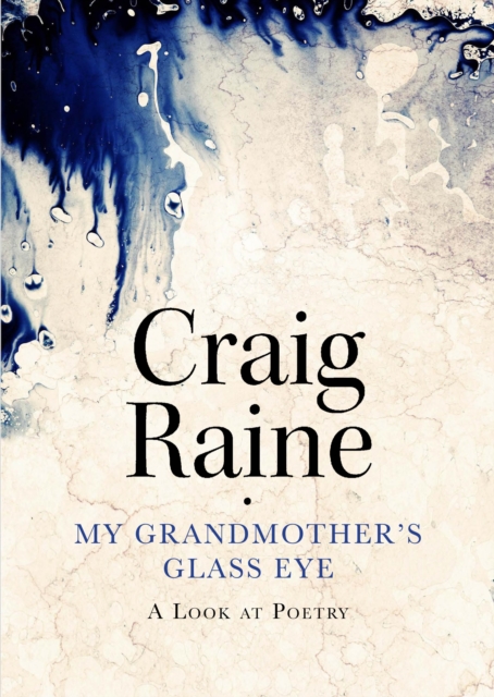 My Grandmother's Glass Eye : A Look at Poetry, Hardback Book