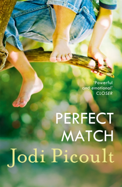 Perfect Match : the international bestseller about the strength of a mother's love, EPUB eBook
