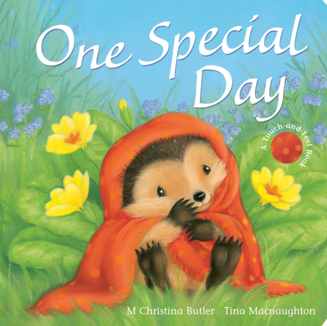One Special Day, Board book Book