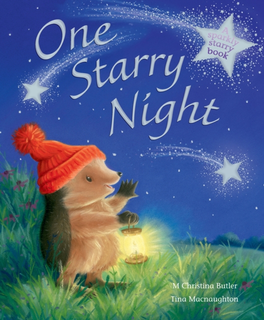 One Starry Night, Hardback Book