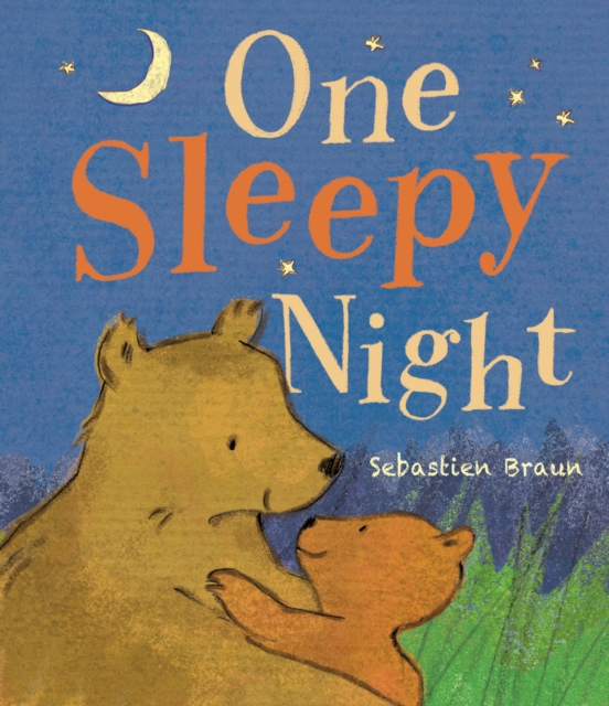 One Sleepy Night, Board book Book