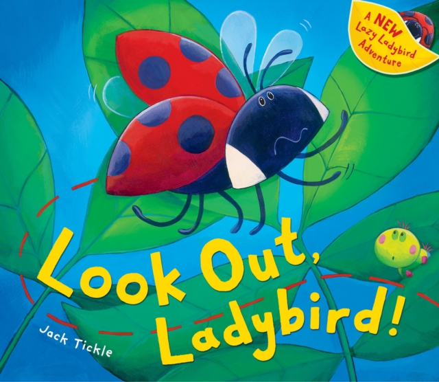 Look Out, Ladybird!, Hardback Book